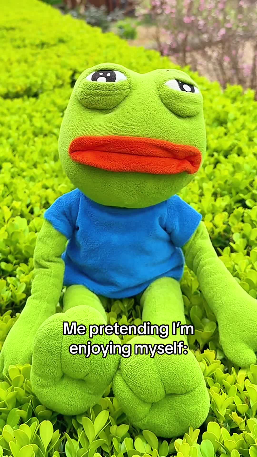 @AdoptAPepe