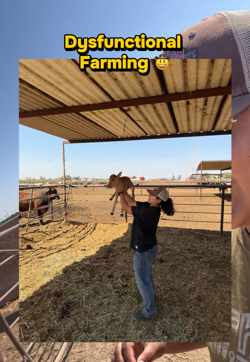 @Skylar Farming