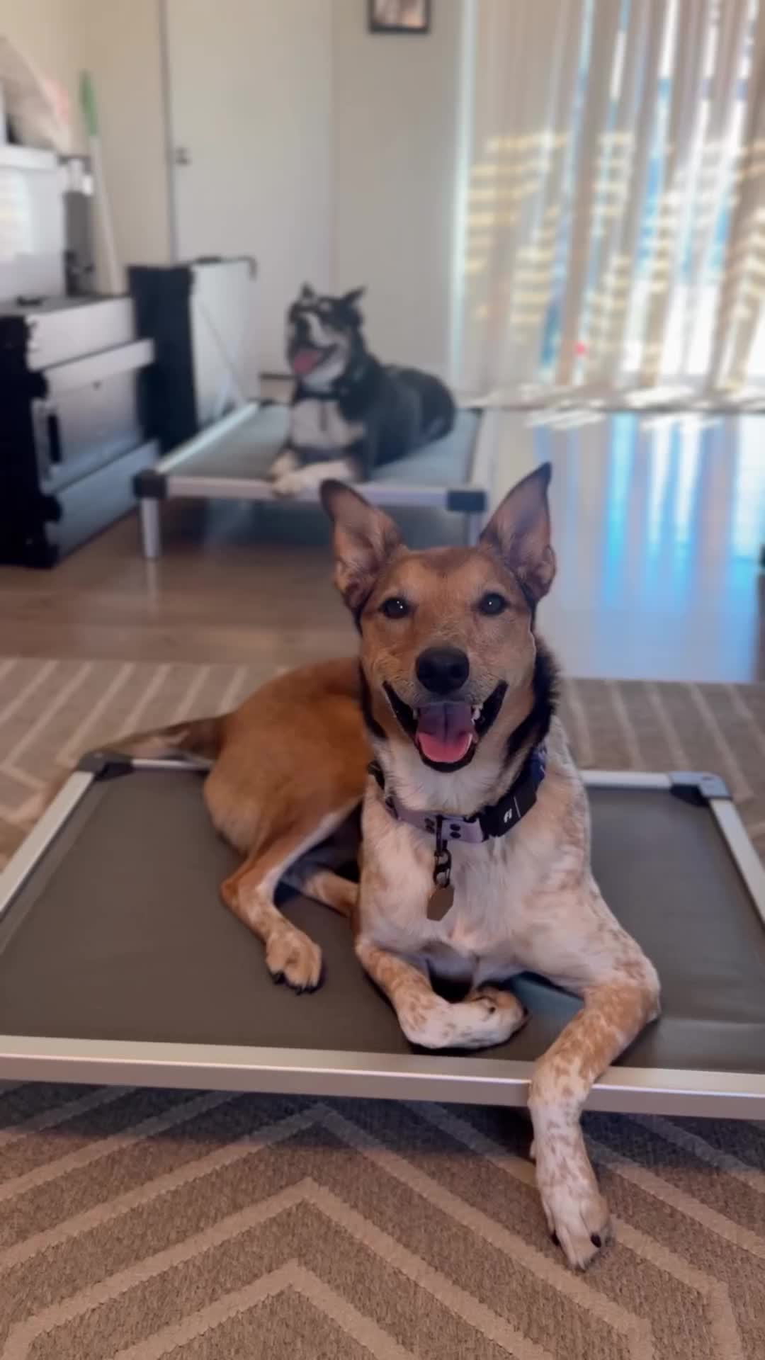 @Marissa | Kota & Aspen