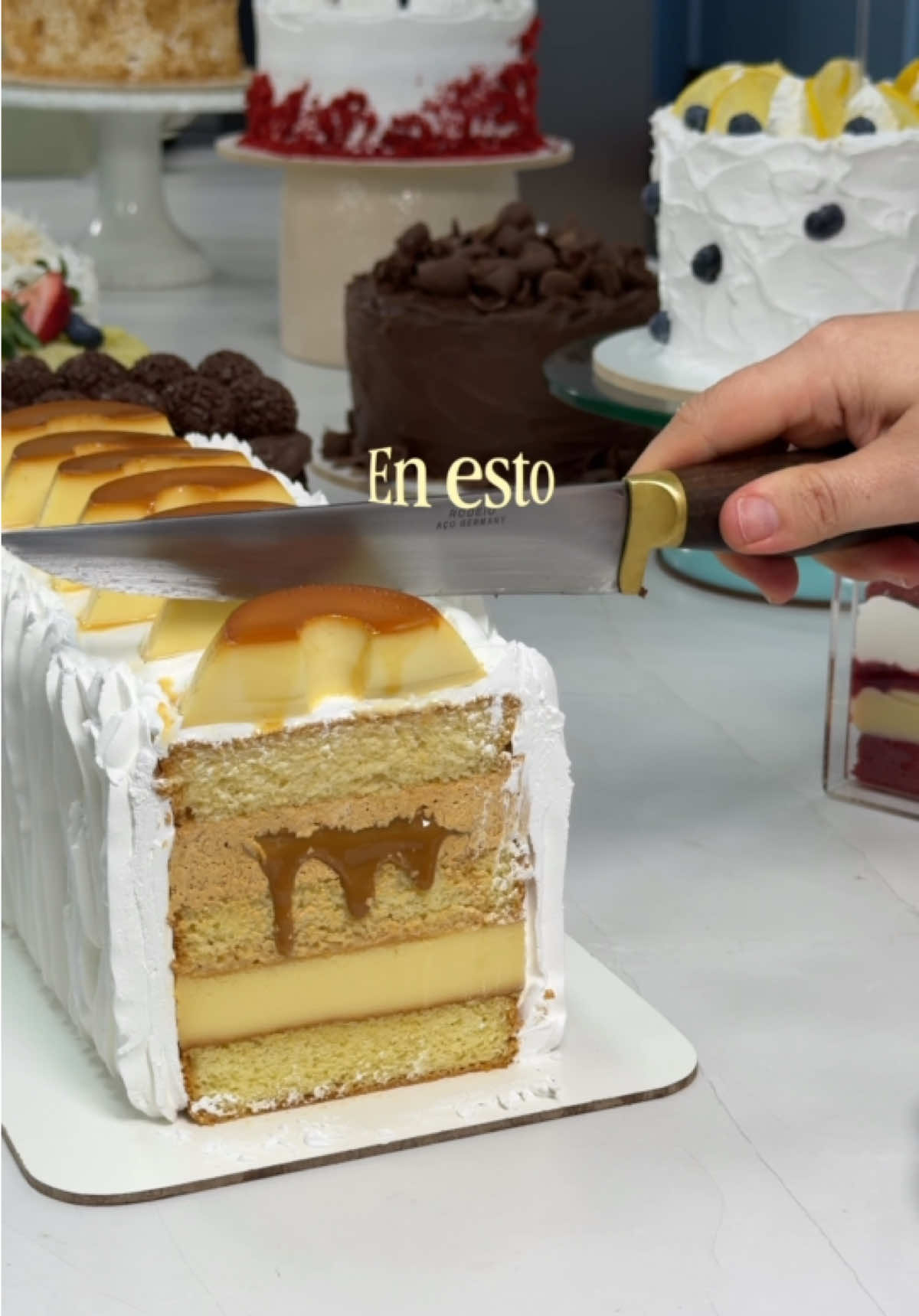 @Carina Lovera Repostera G