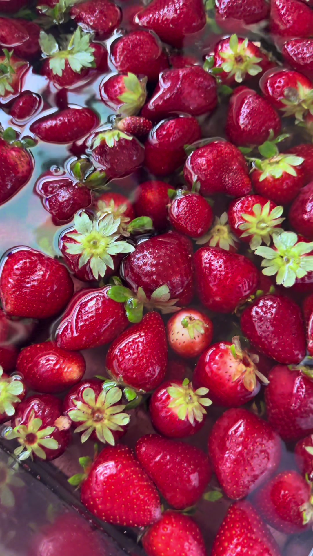 @Jordann | Lady J&rsquo;s Farmstand