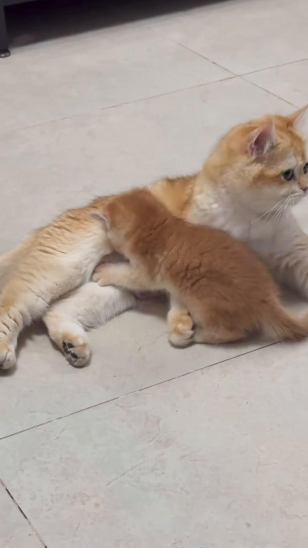 @My Daily Dose of Aww
