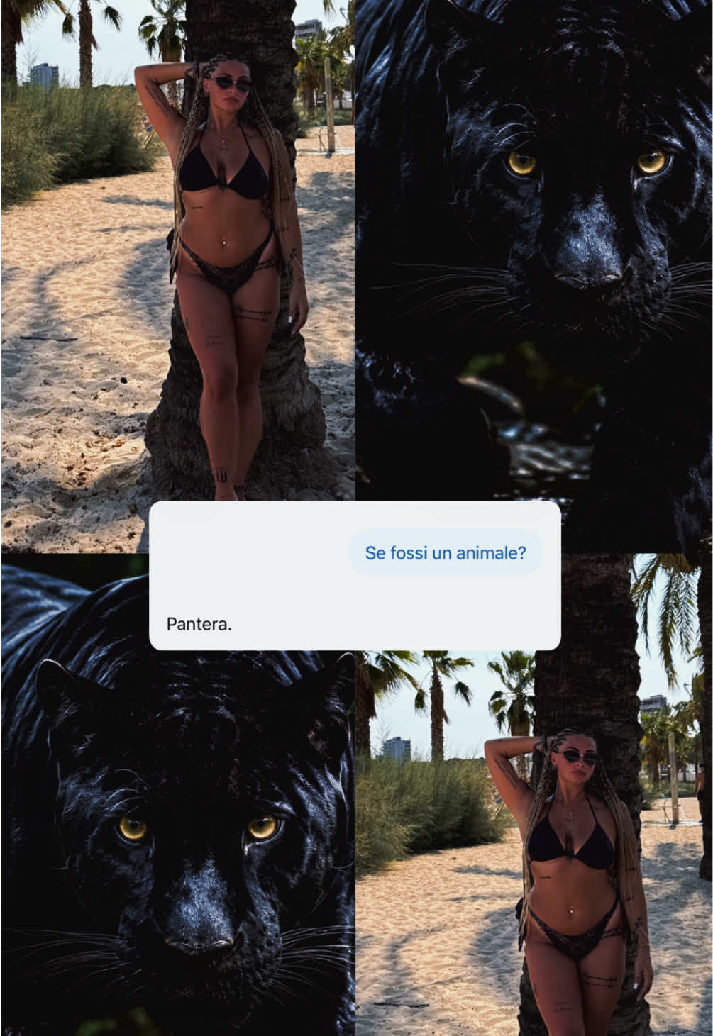@IDA.🦂🐆