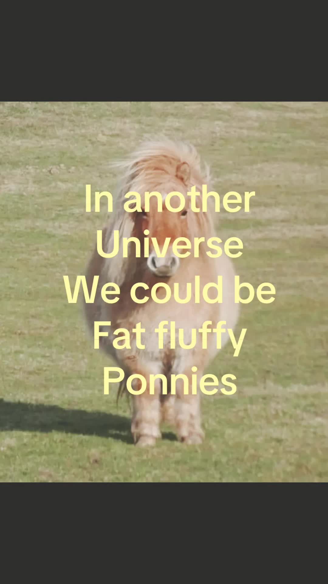 @🩷