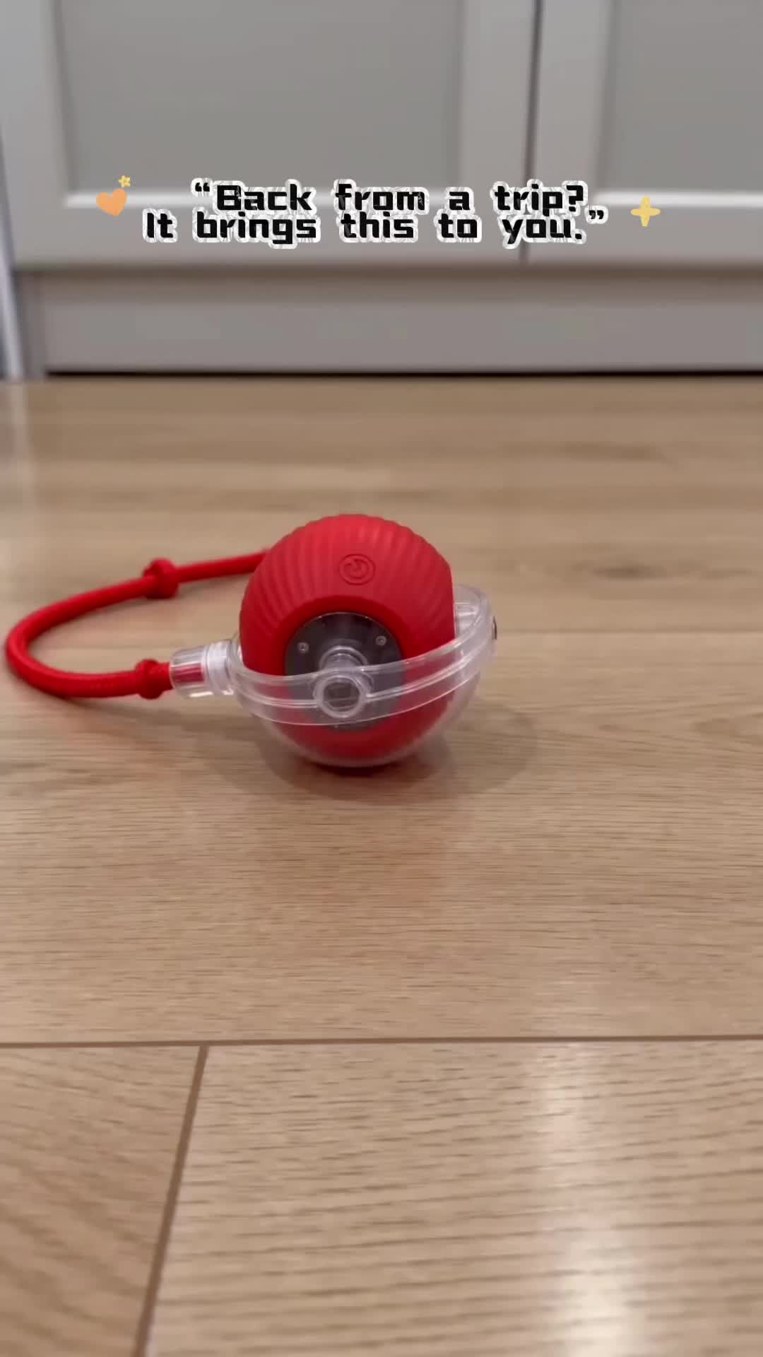 @Funny Ai