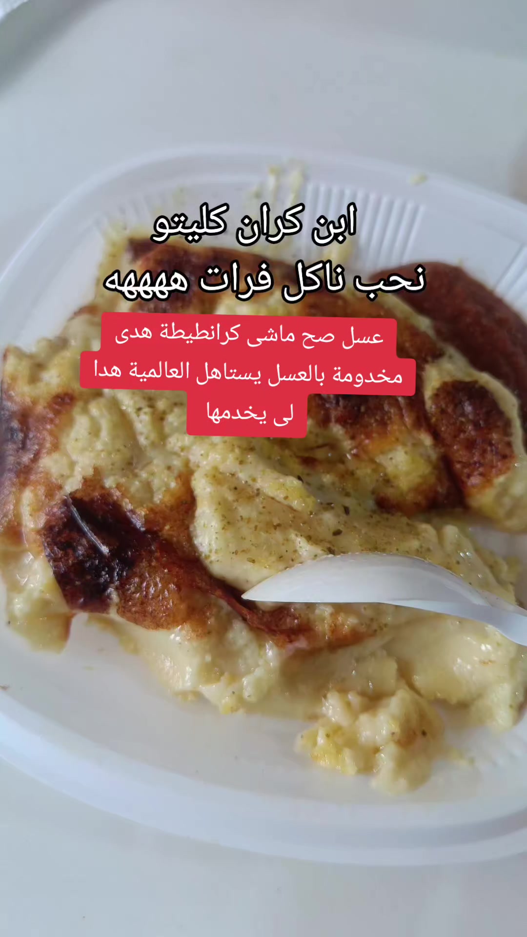 @Bon plan elit dz