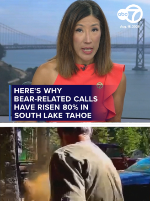@ABC7 News