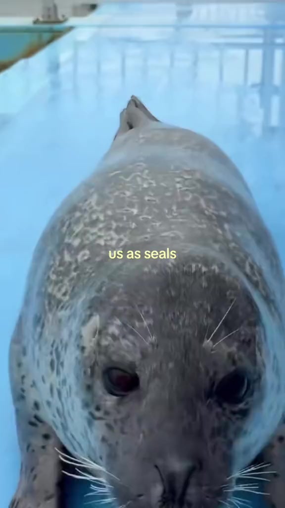 @ꪀ꠸ᥴꪮꪶꫀ ꪑ ᥫ᭡.ִֶָ𓂃