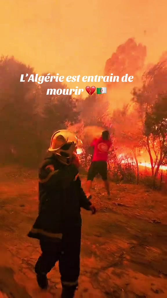 @🇩🇿