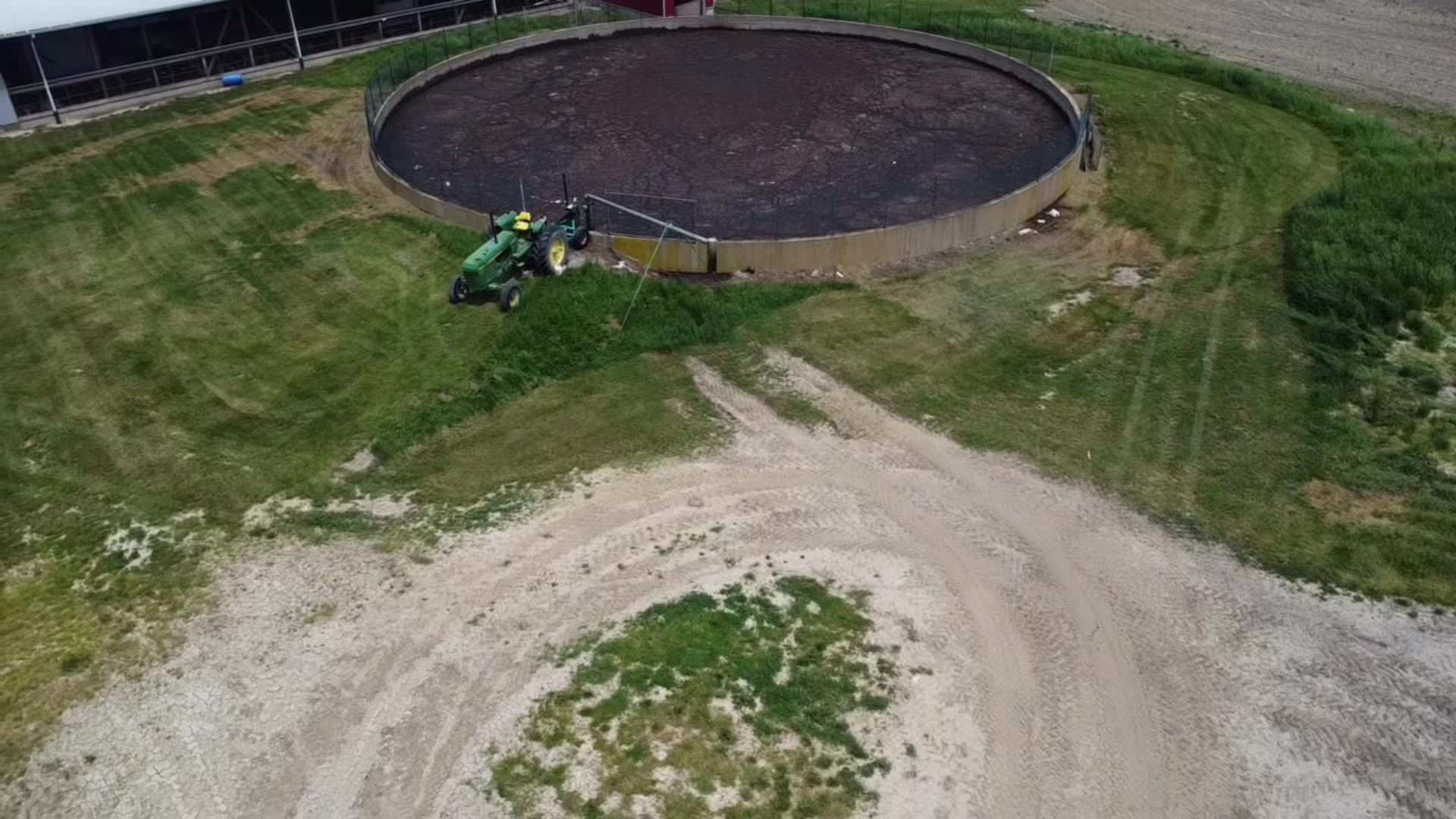 @Krestlink Holsteins