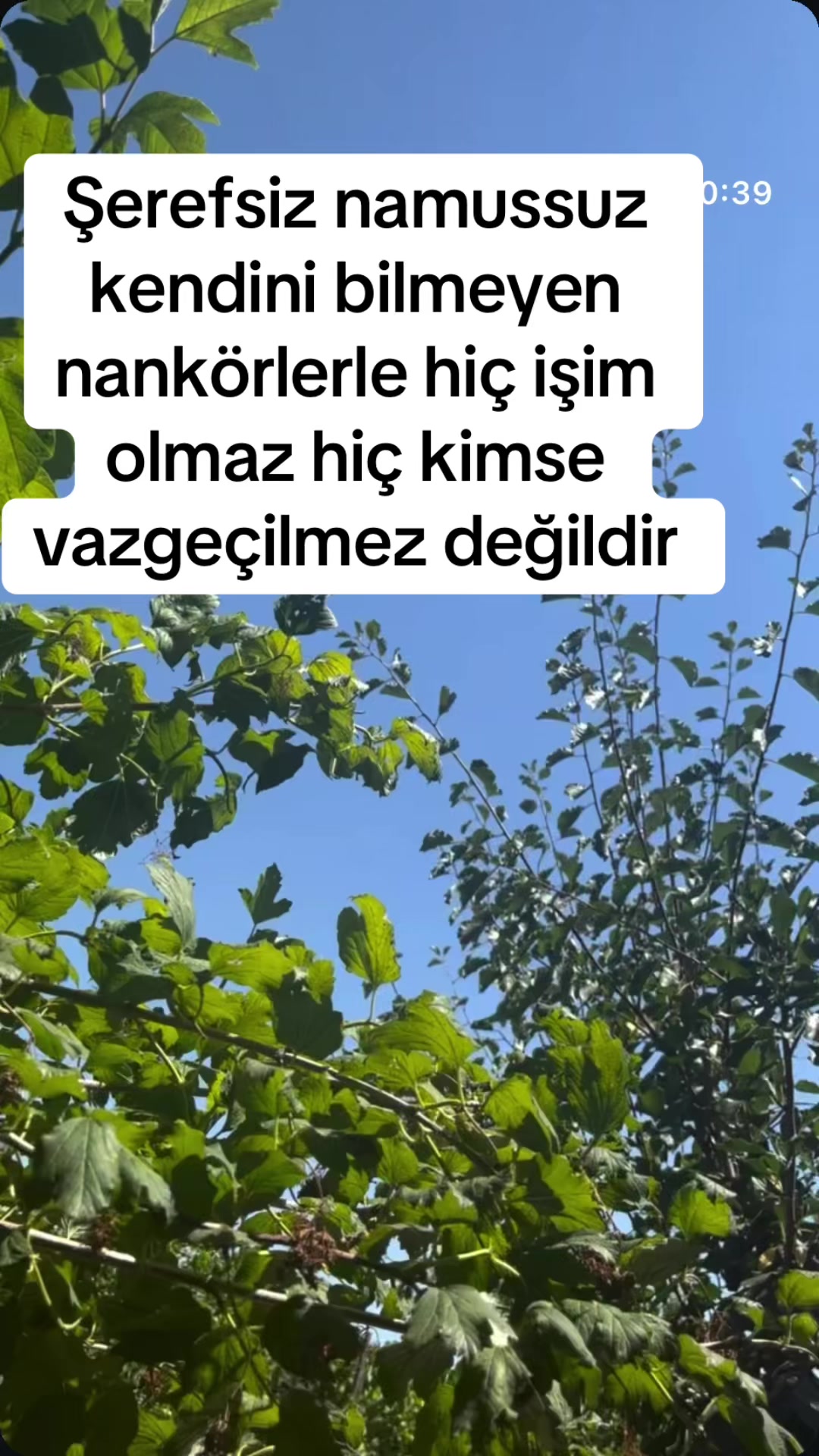@🧡BİRTANEM💛