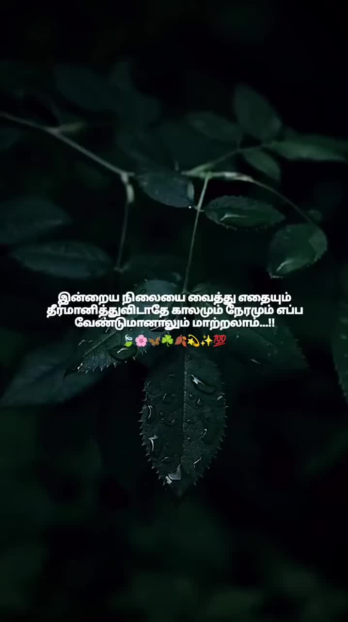 @🌻💛мαмα ρσииυ fσяєνєя🌻💛
