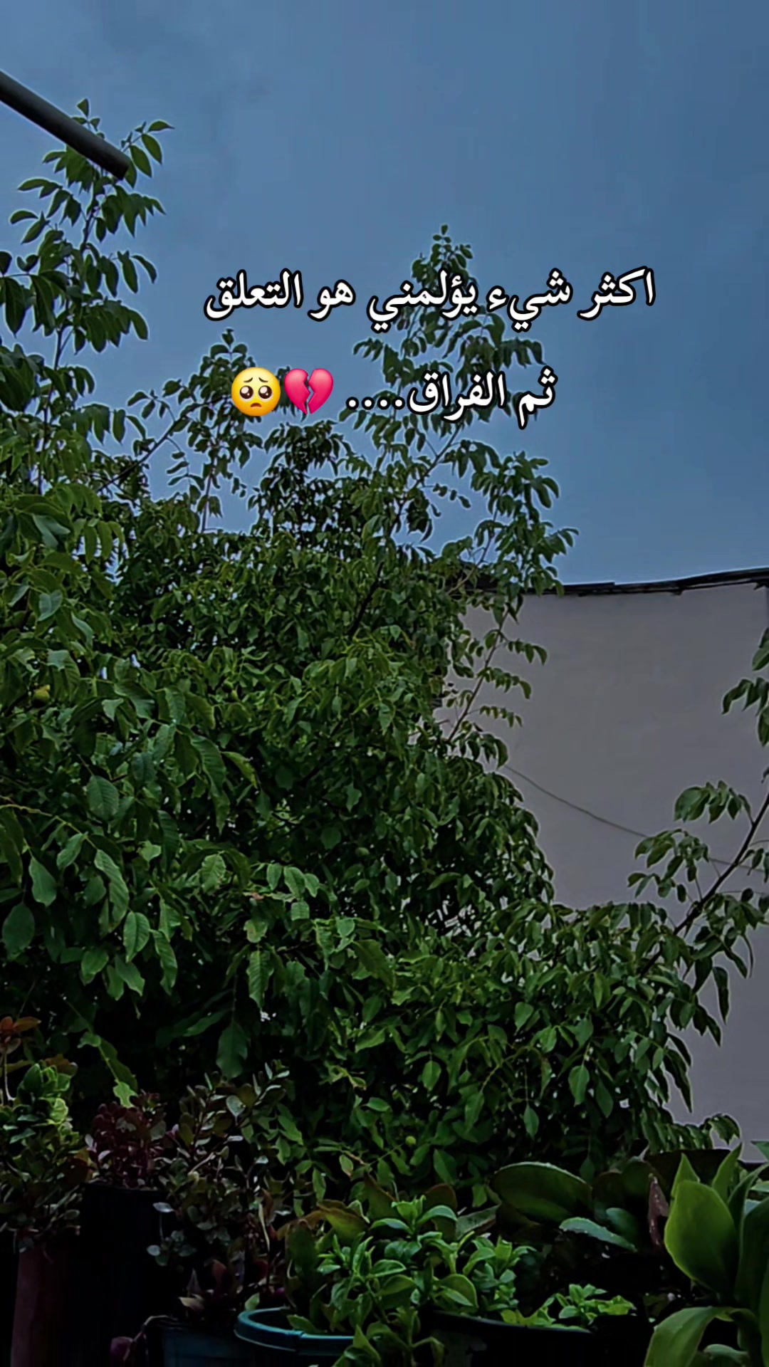 @.•♫•♬• م̷ن̷ع̷ٍز̷💔ل̷ة •♬•♫•.