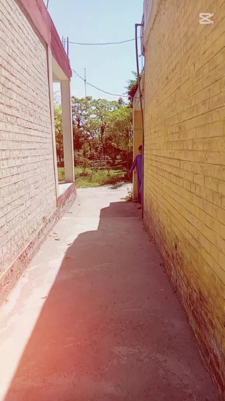 @┈━═☆❣️𝑺-𝑺.𝑩𝑹𝑨𝑵𝑫❣️☆═━┈