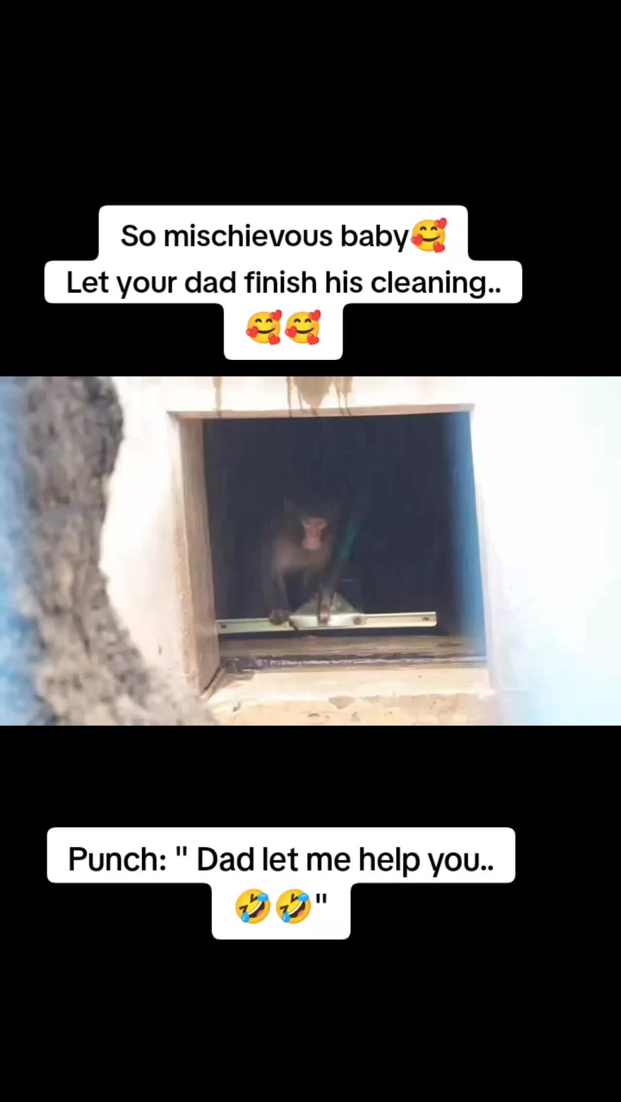 @Mochi/Rusty