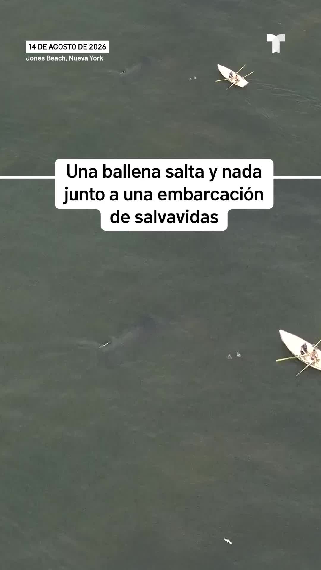 @telemundosandiego