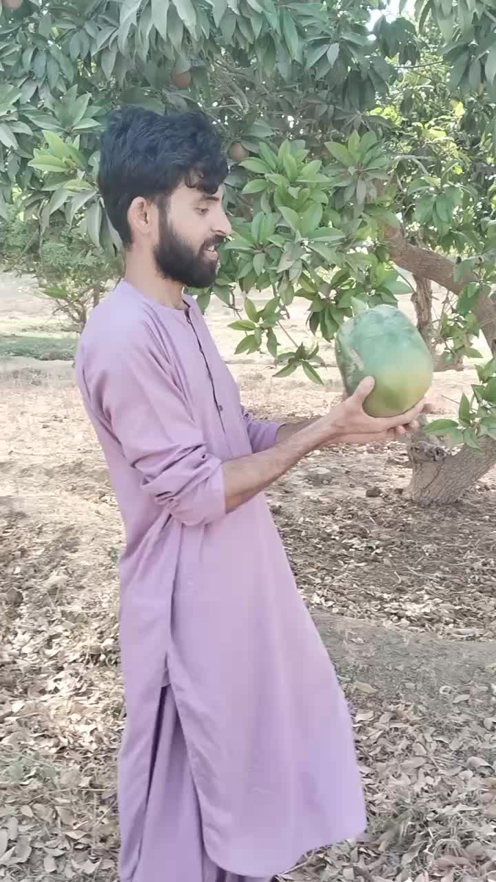 @Mirani Saif ALi