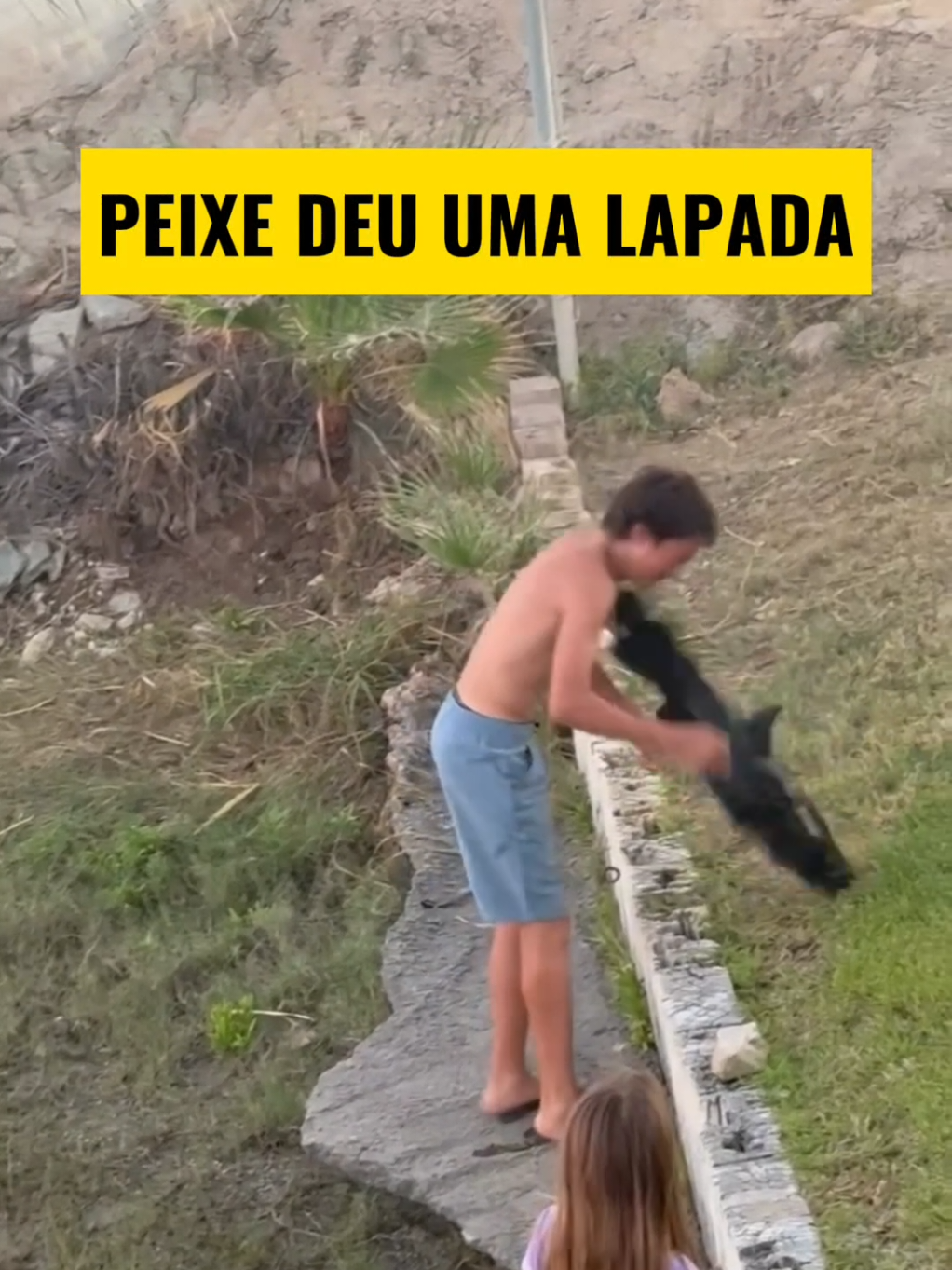 @TRAVEL PINGUIM