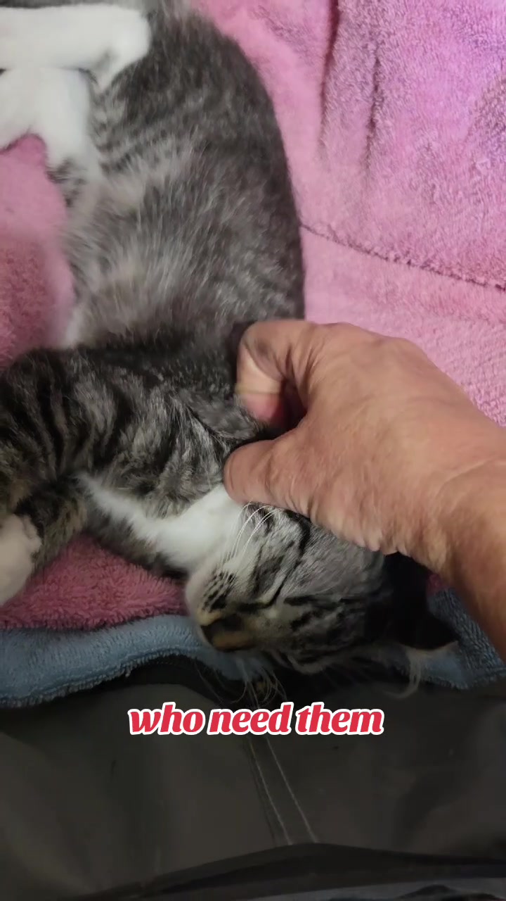 @Little Bit Wildlife Rescue