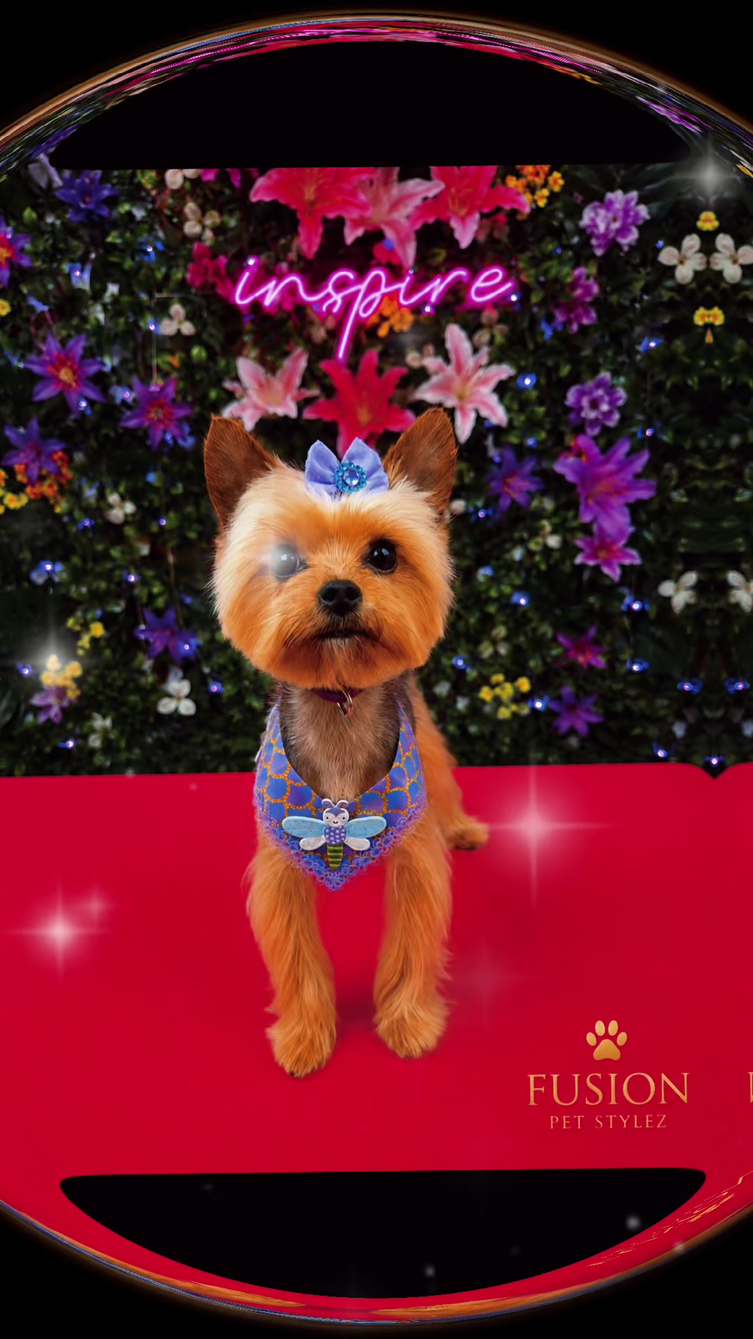 @fusionpetstylez