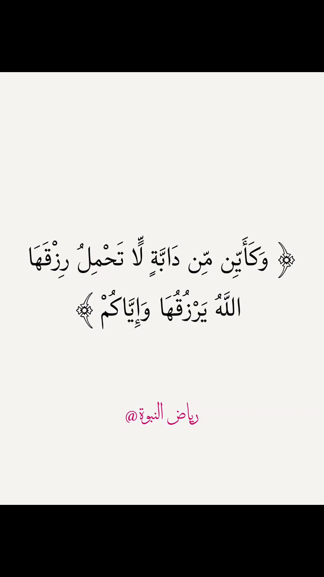 @شيدو