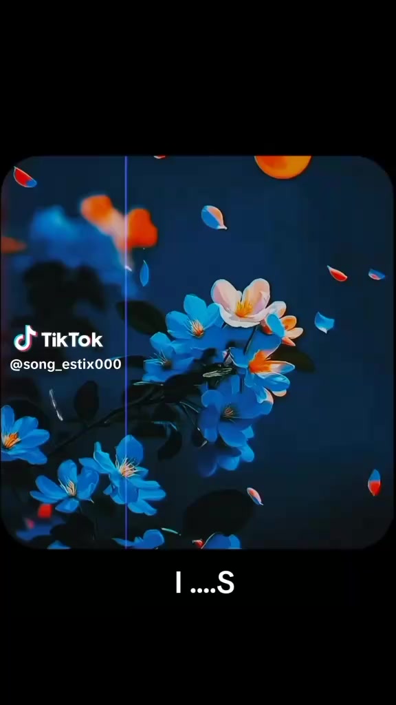 @MR