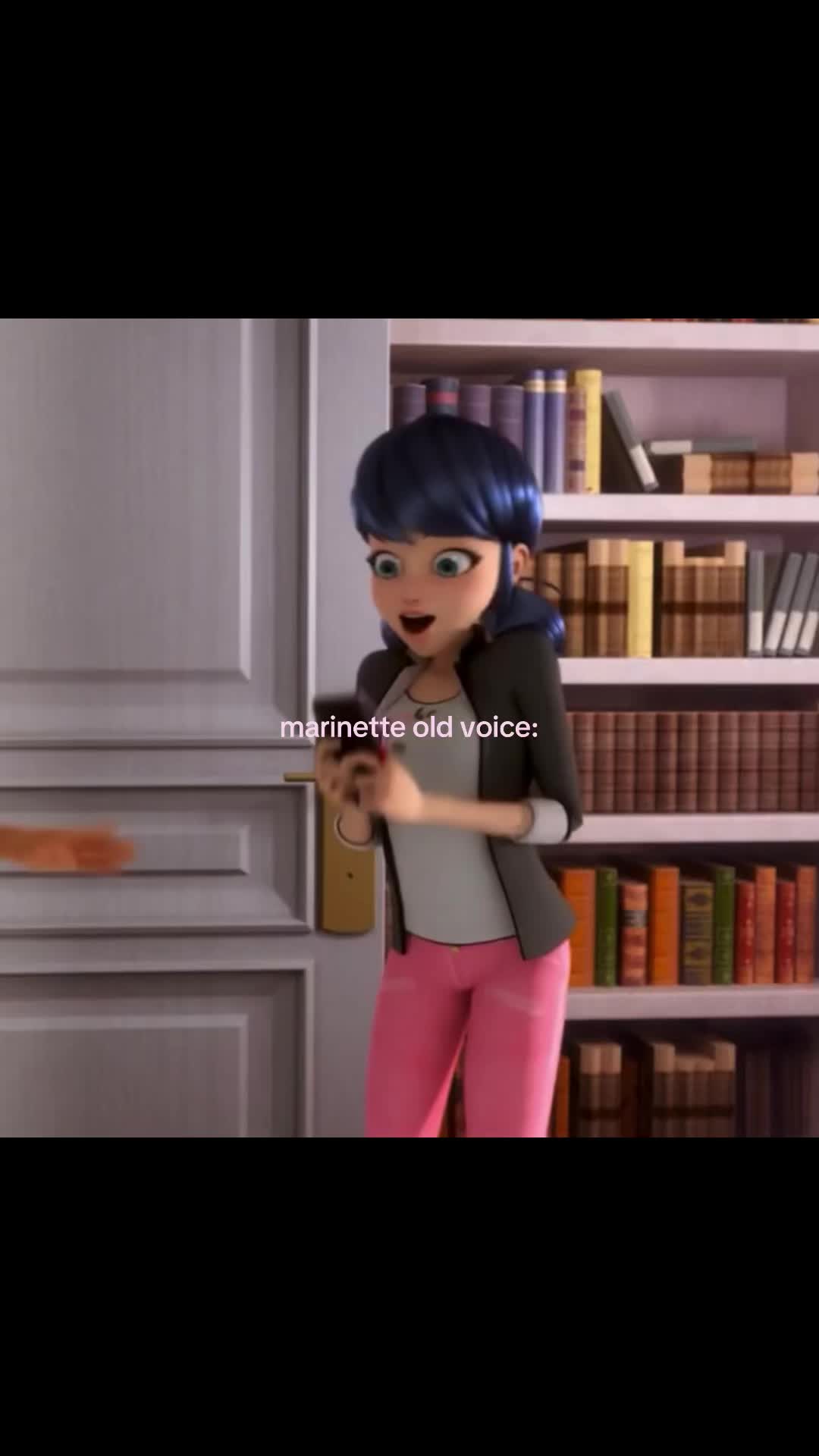 @🐞🐈⬛