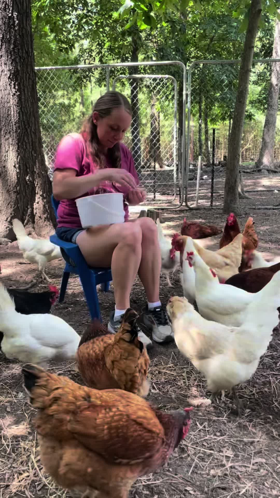 @Gray Acres Homestead