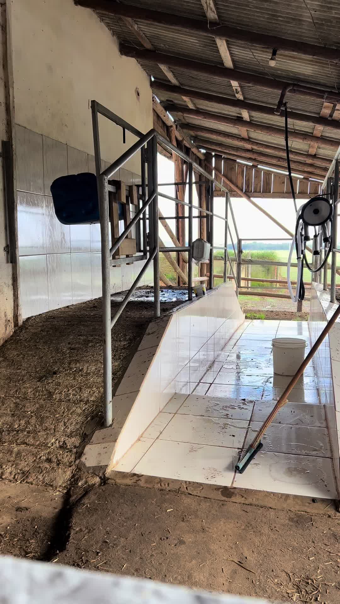 @Val&eacute;ria | Rotina | Queijos🧀🐄