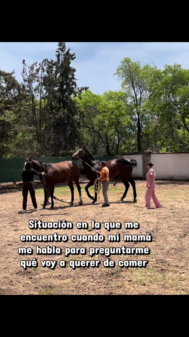 @Wendy Santillan