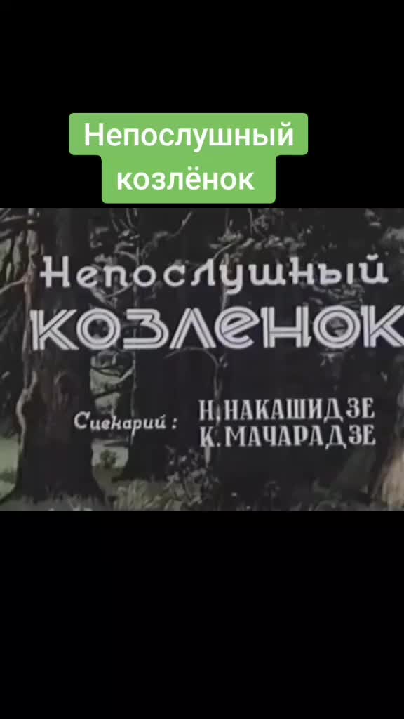 @rainkino