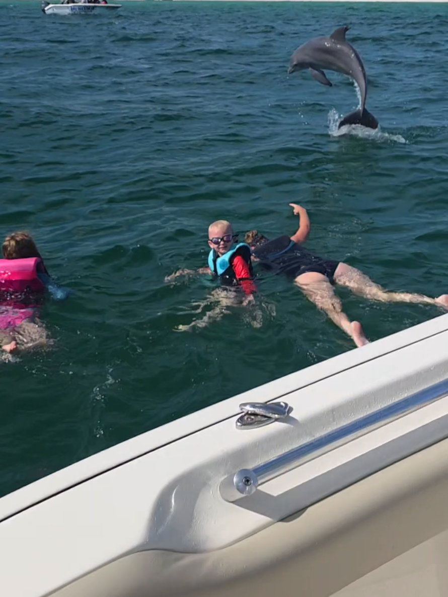 @Shell Island Dolphin Tours 🐬