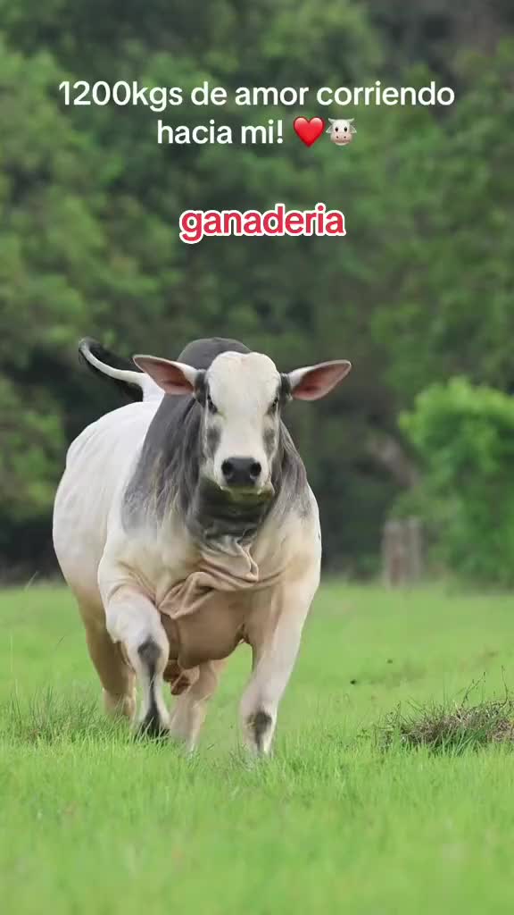 @NATURALEZARANCHO