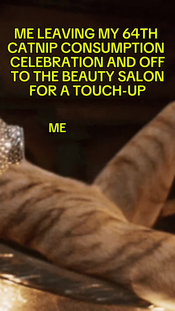 @GIF LOVER❤️