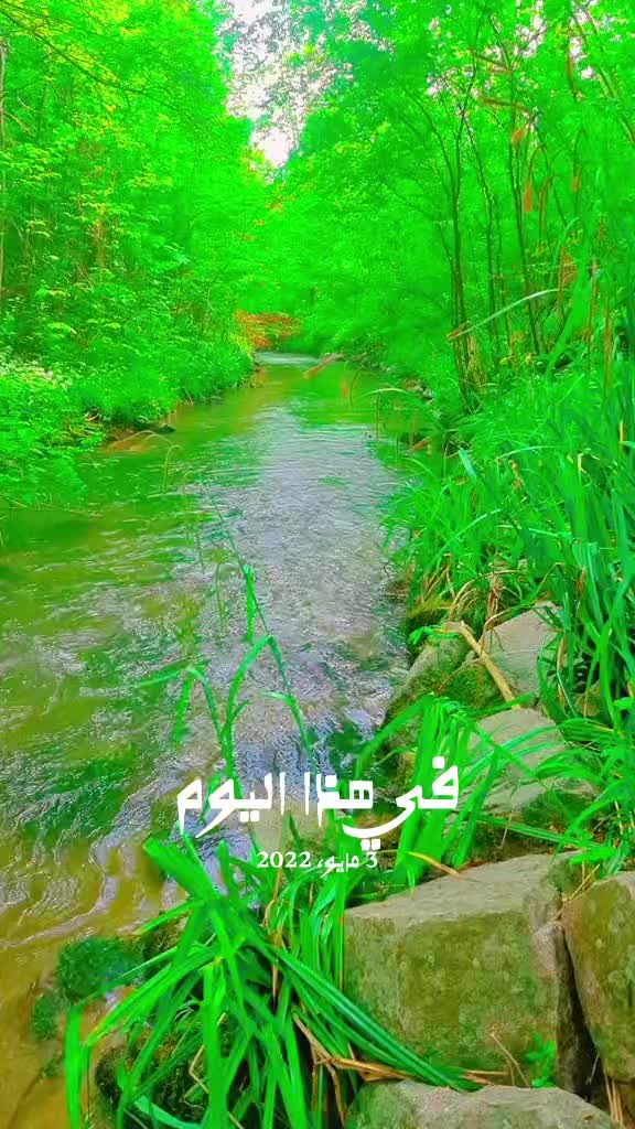@❤️ام ريان❤️