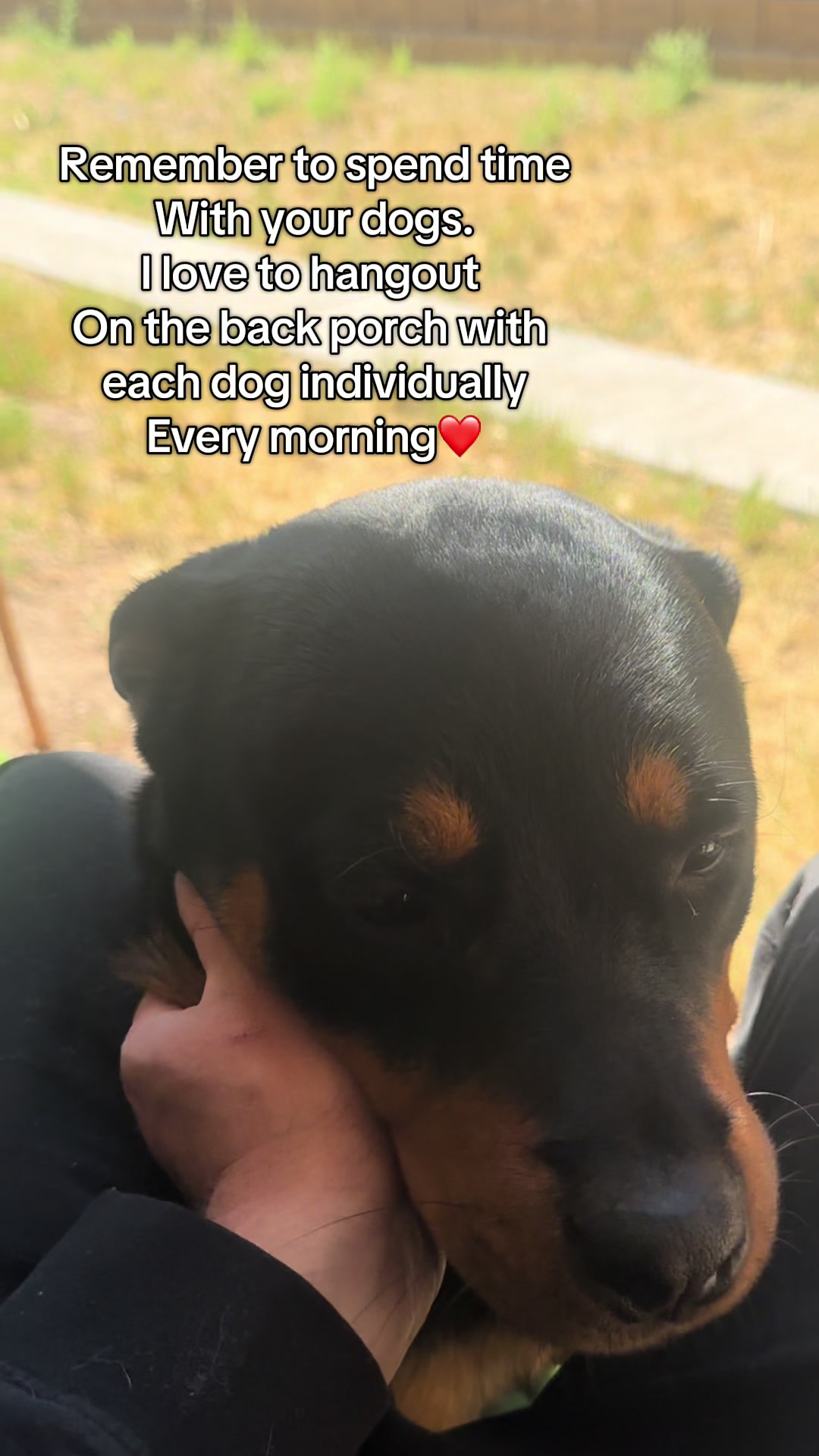 @tylerthek9trainer