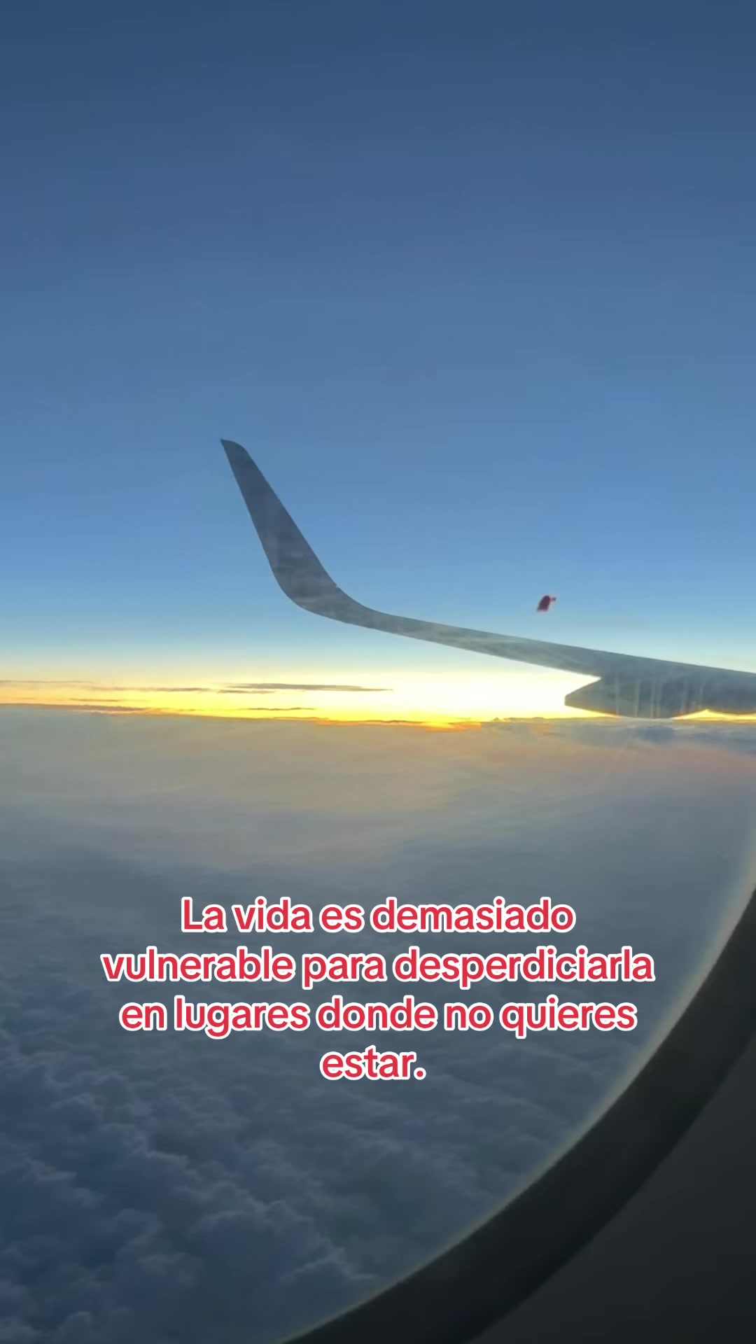 @Lrbvzla💜