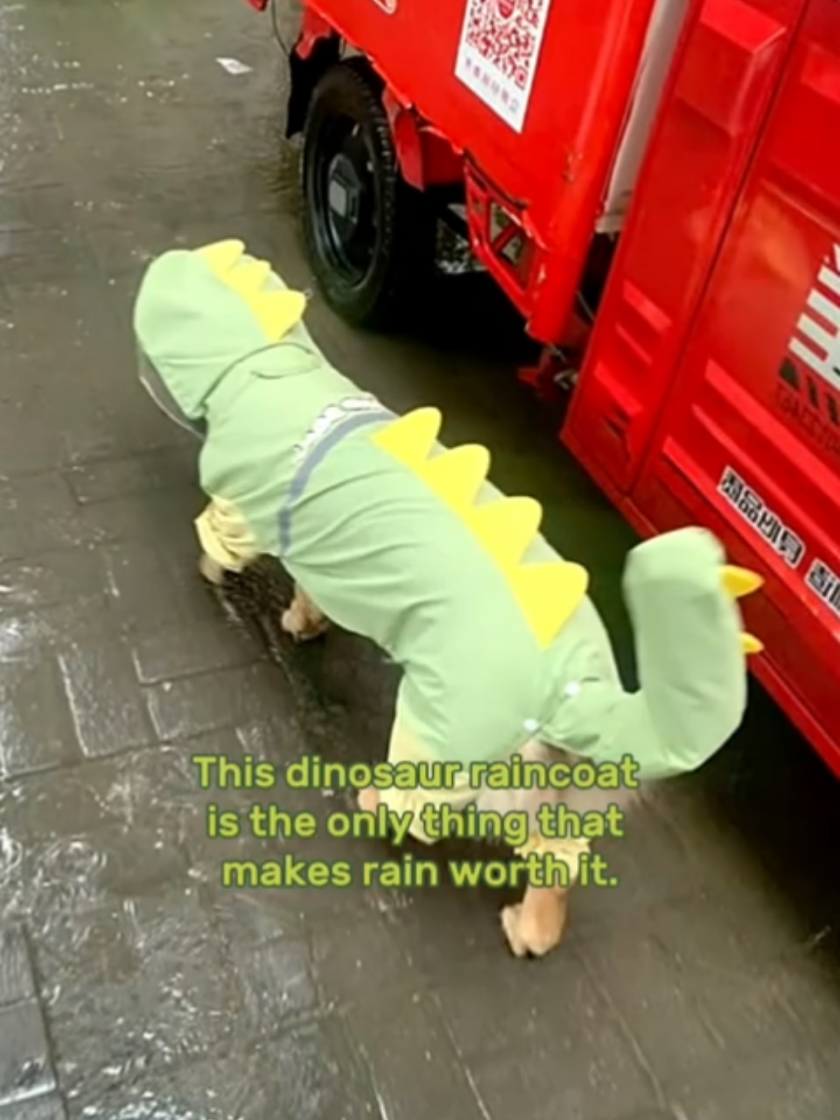@Golden fam