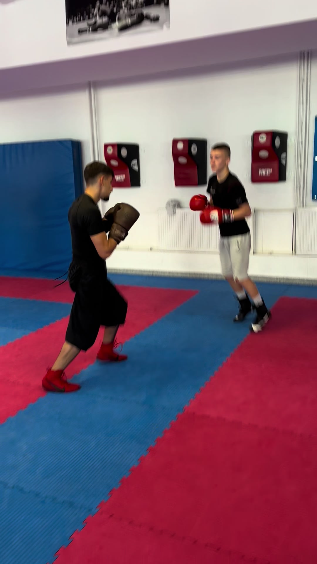 @MIXFIGHT GYM