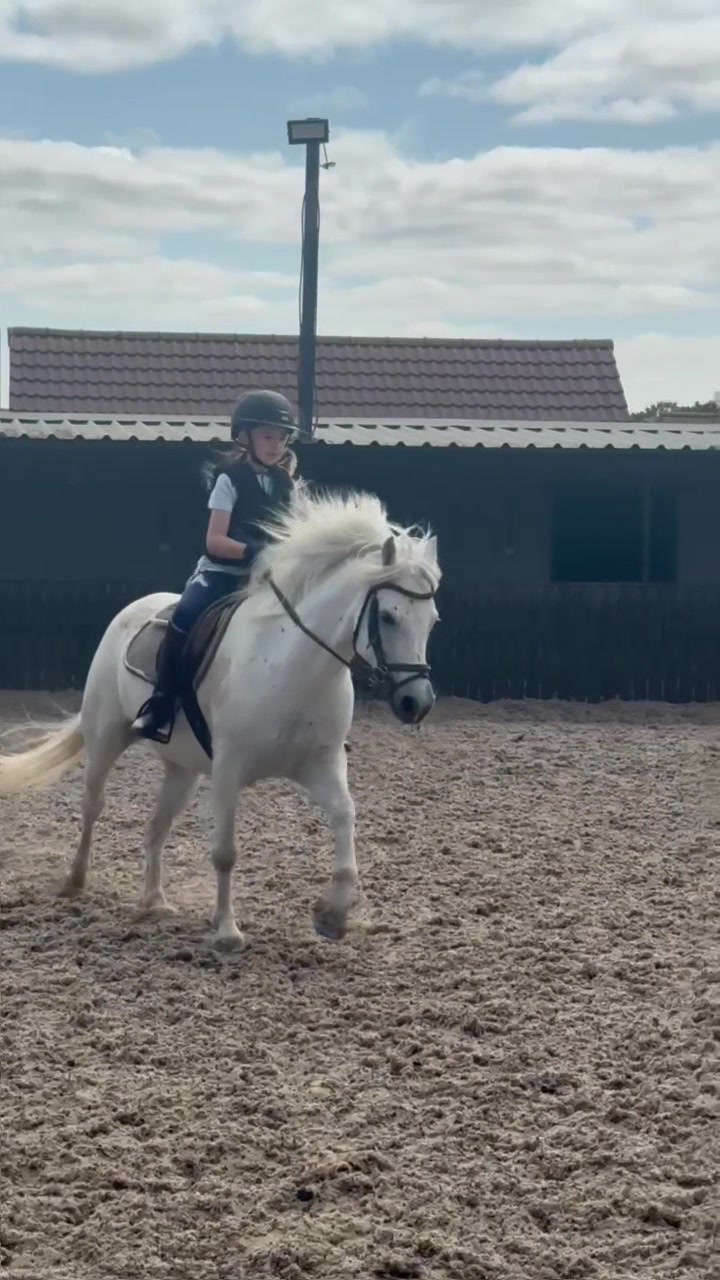 @LottiesHorseAdventures🦄🐴
