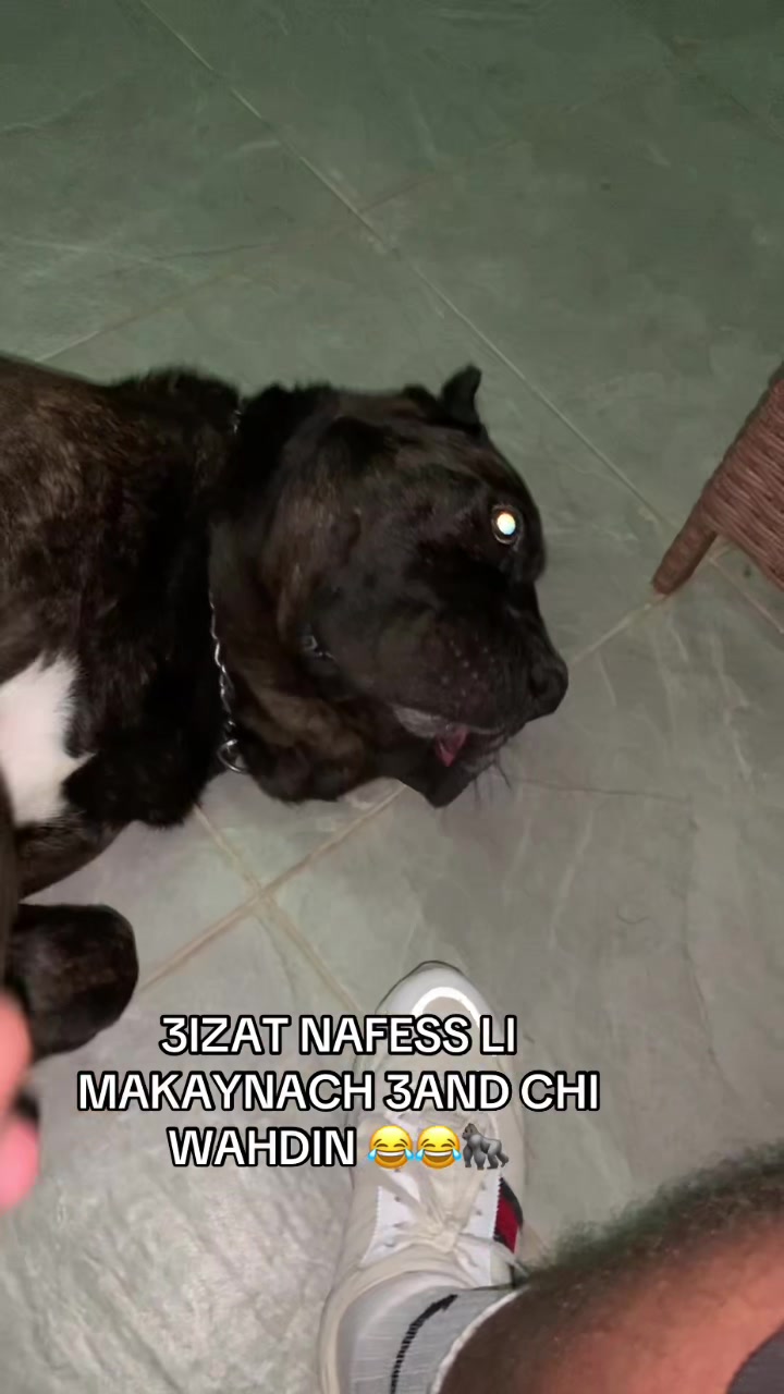 @MOUAD🦍