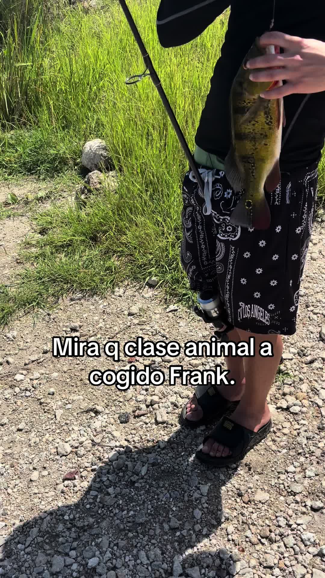 @️