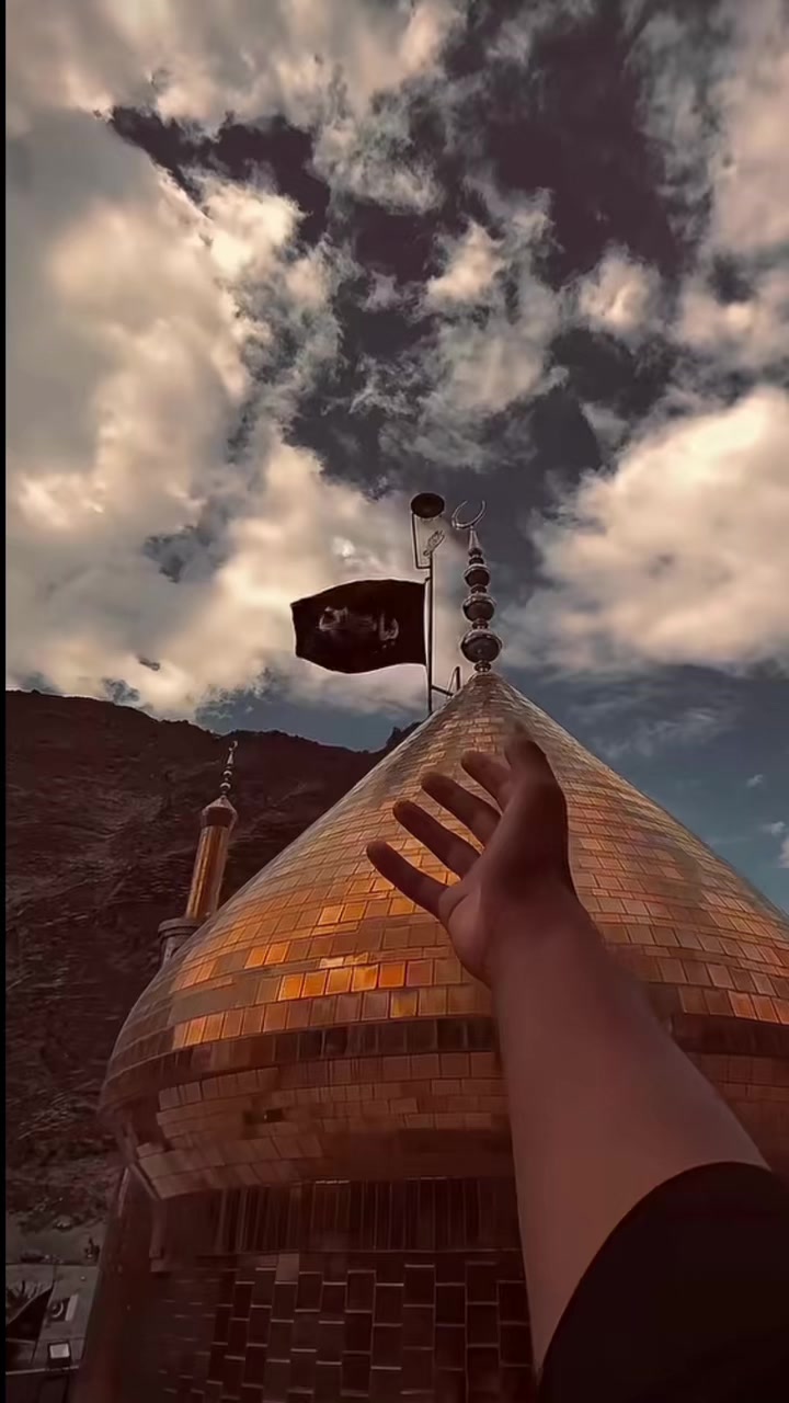 @سید علی ہادی نقوی 🦅