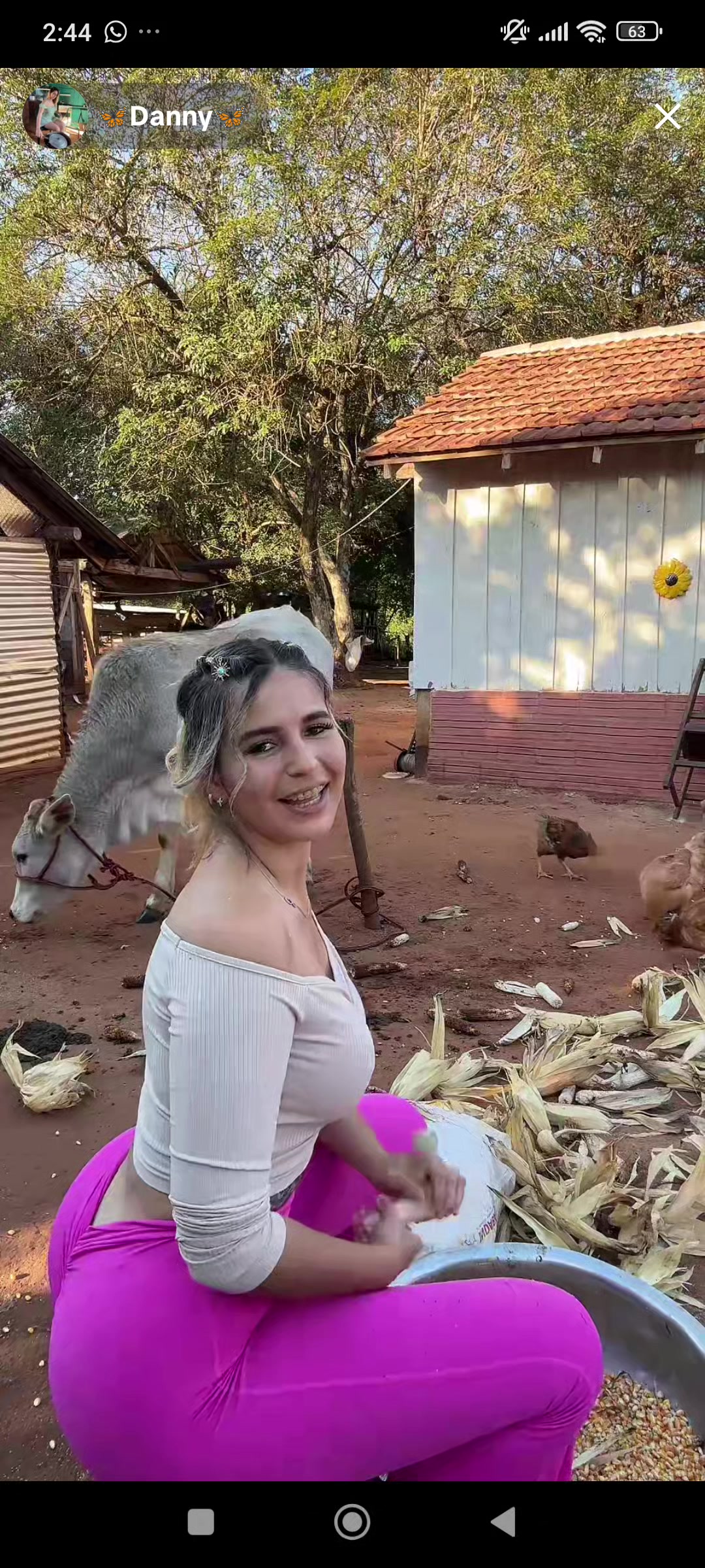 @estelar