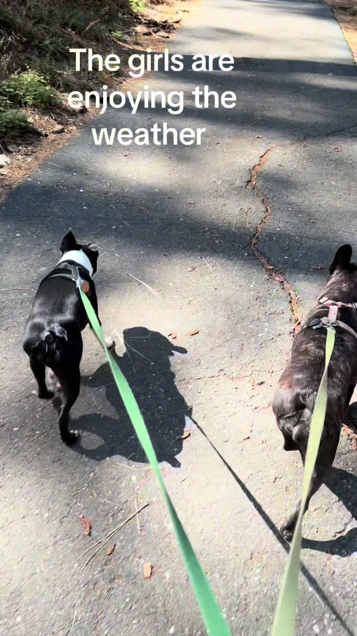 @Laurie&rsquo;s-remi&delilah