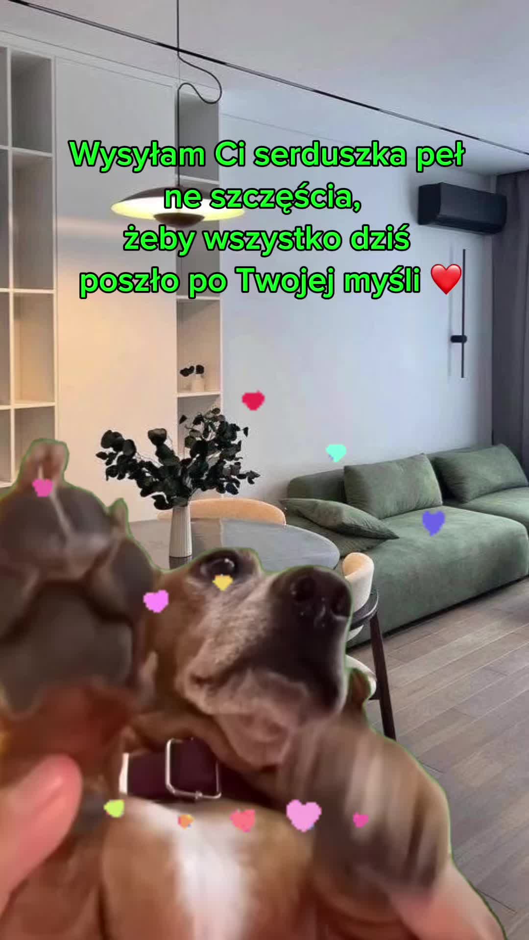 @Vita Nowak