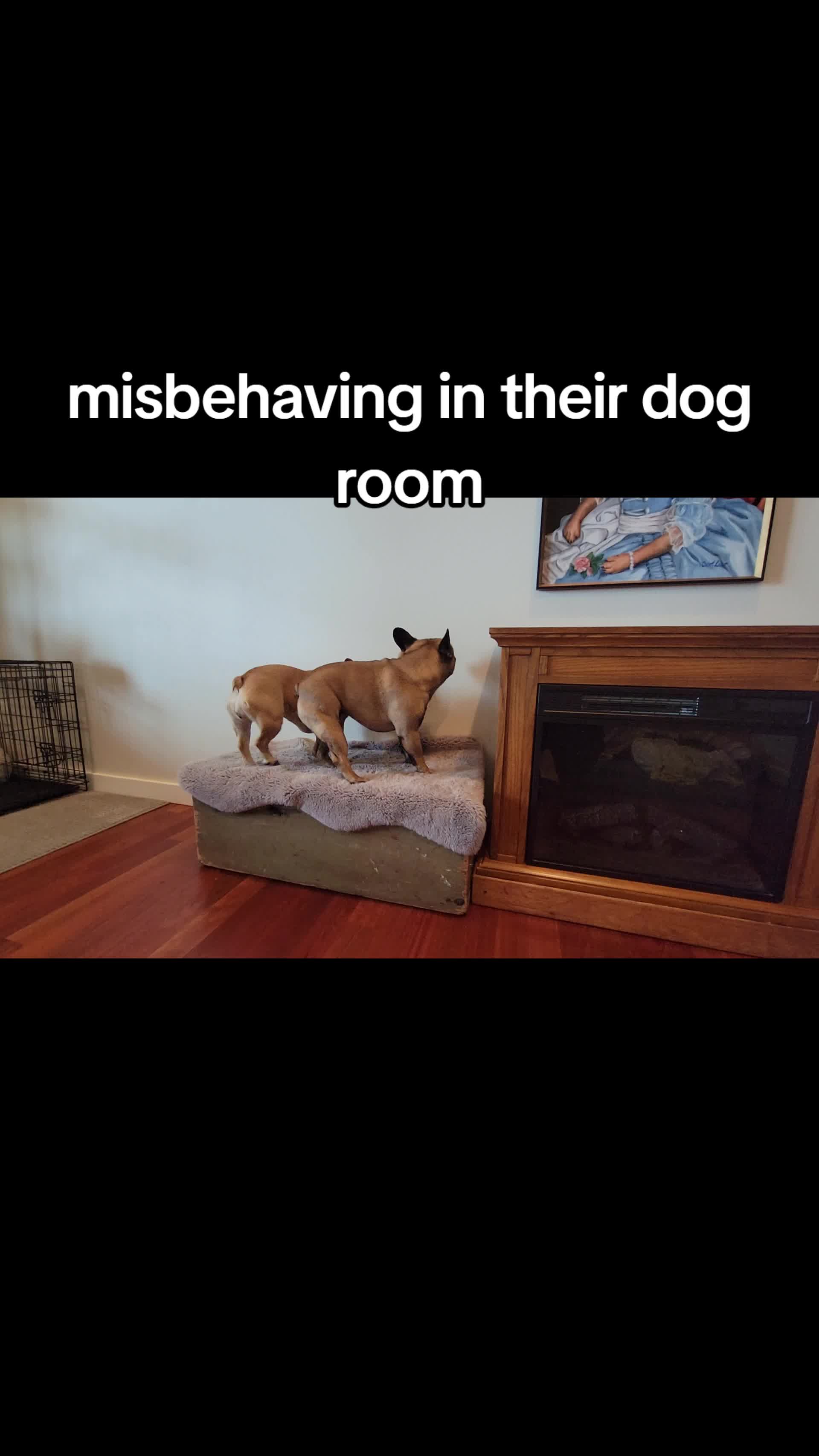 @moose.is.a.loose1