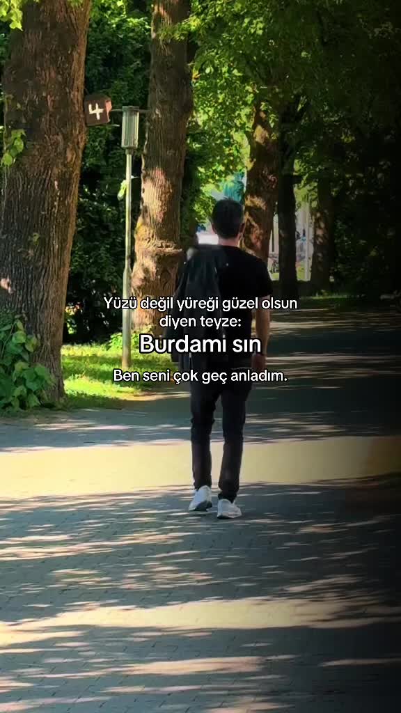 @501🌞