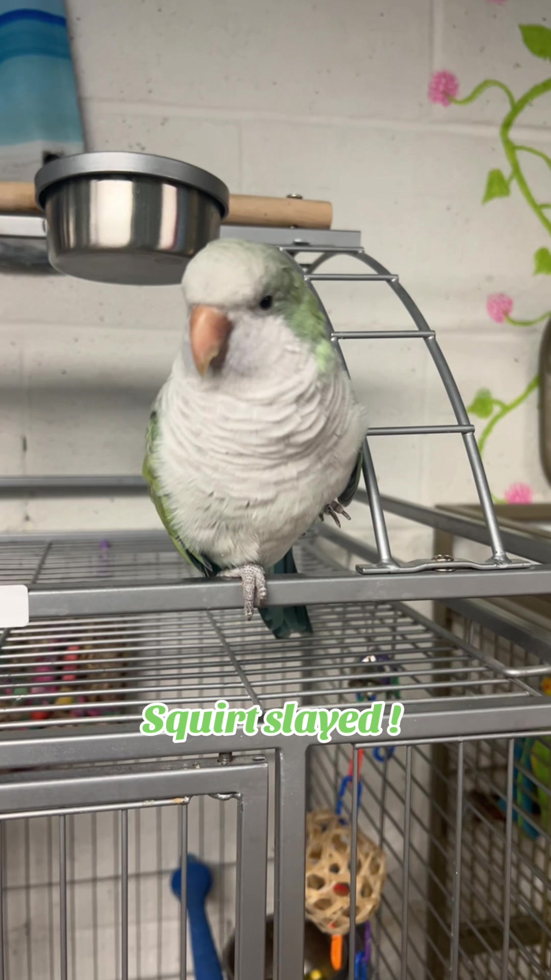 @CrystalParrot🦜💜🦜🍪🍨