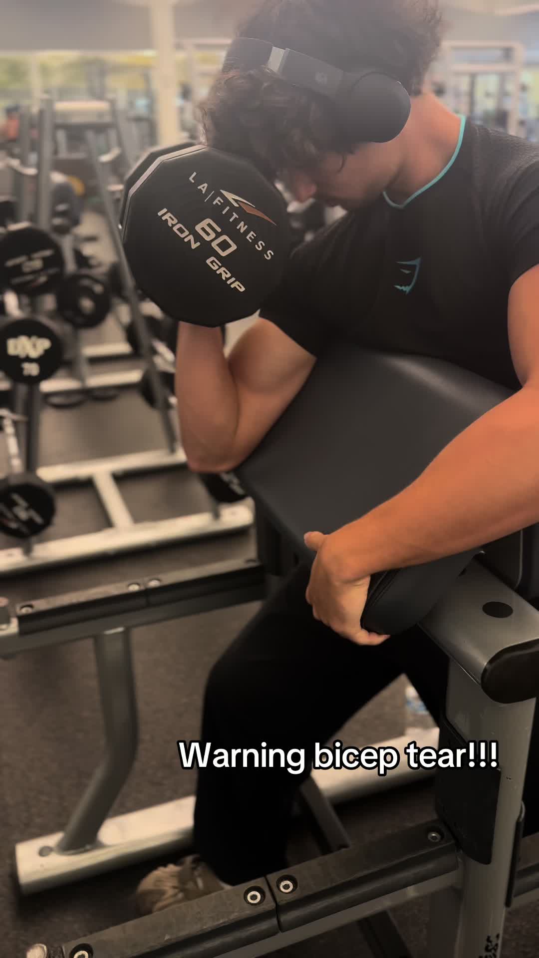 @shredzzer